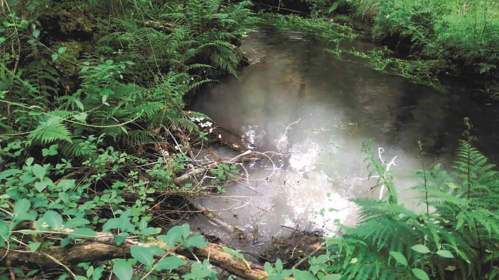 Vertidos contaminantes procedentes da mina de Touro-O Pino chegan aos afluentes do Ulla. (Foto: Europa Press).