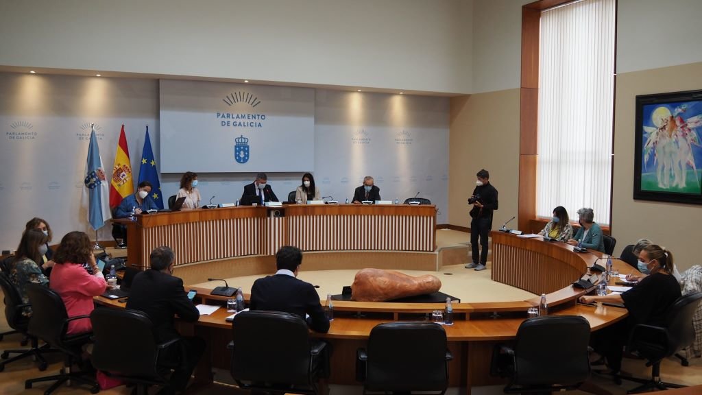 Reunión da comisión de control da CRTVG, na que compareceron as e os candidatos dos grupos para o consello de administración da CRTVG (Foto: Parlamento da Galiza).