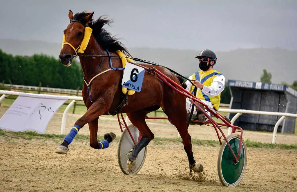 Coco Jambo con J. V&aacute;zquez na carreira de trote enganchado no Hip&oacute;dromo de Antela, en Xinzo de Limia (Alberto P./ Hip&oacute;dromo de Antela)