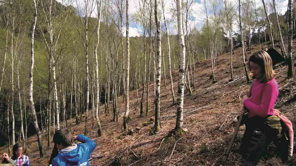 Limpeza de terreo nunha comunidades de Montes Veci&ntilde;ais. (Foto CMVMC de Covelo)