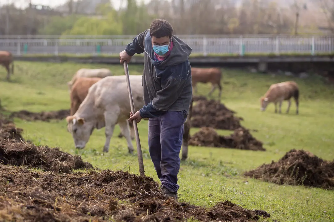 Un dos aspectos sobre os que chaman a atenci&oacute;n os membros do Foro Econ&oacute;mico &eacute; a falta de formaci&oacute;n profesional no rural (Foto: Carlos Castro / Europa Press).