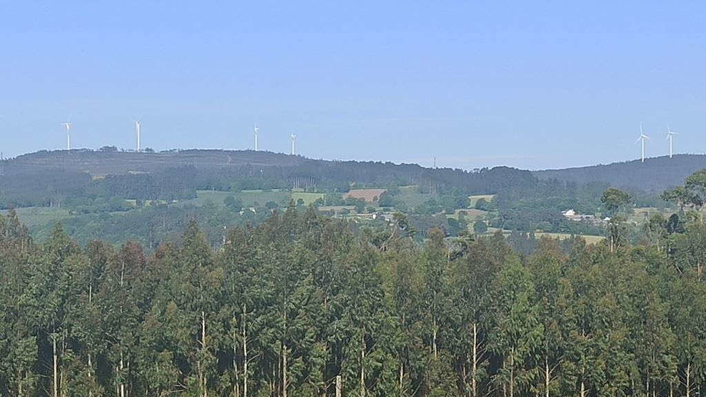 Eólicos nun monte galego. (Foto: Nós Diario) #eólicos #parqueeólico #enerxía #muíños #empresa #beneficios
