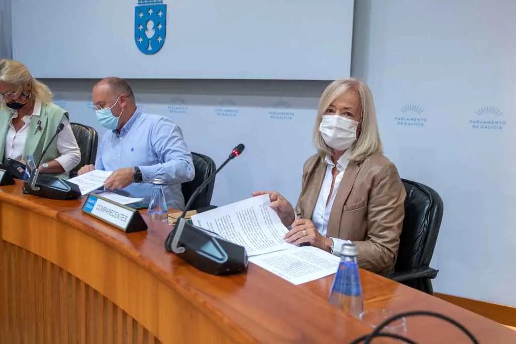 A directora xeral Estrella L&oacute;pez-Pardo, onte no Parlamento (Foto: Parlamento)