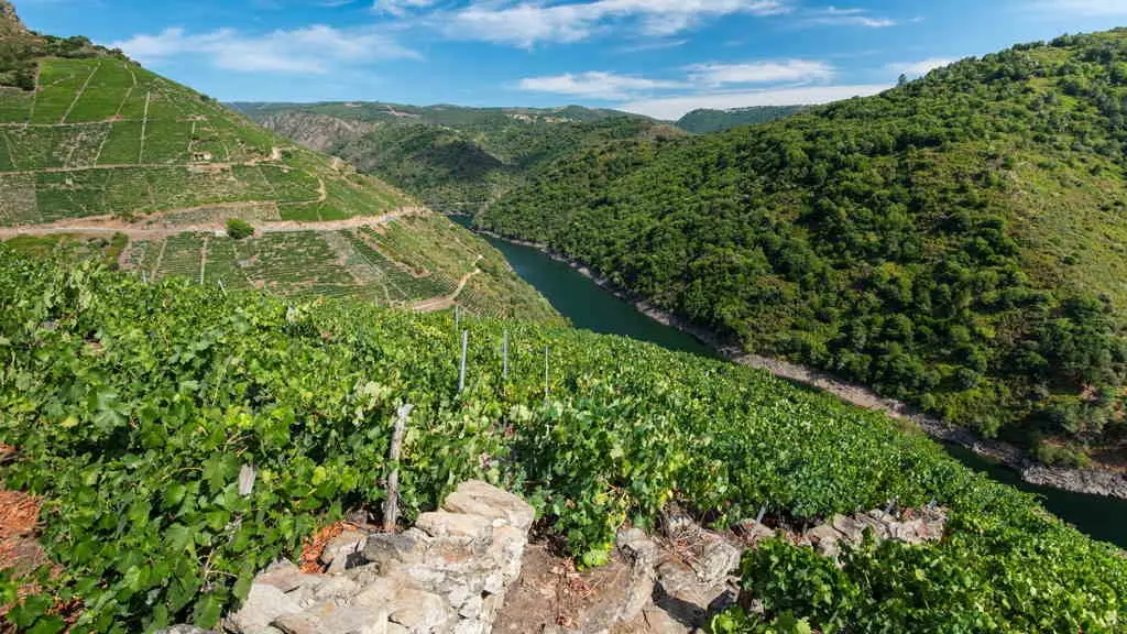 Ribeira Sacra (Foto: Xunta da Galiza).