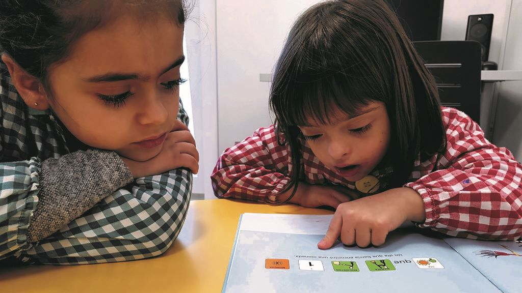 A atención á diversidade prioriza necesidades educativas especiais e adía o apoio educativo (Foto: Down Galiza).