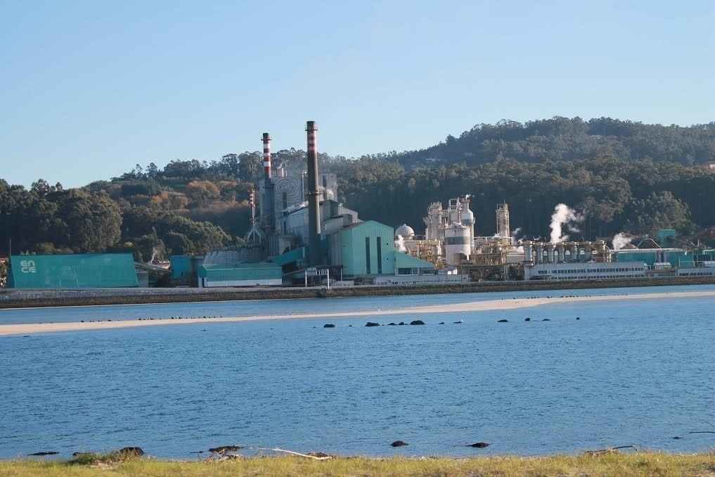 A factoría de Ence en Lourizán, na ría de Pontevedra. (Foto: Nós Diario)