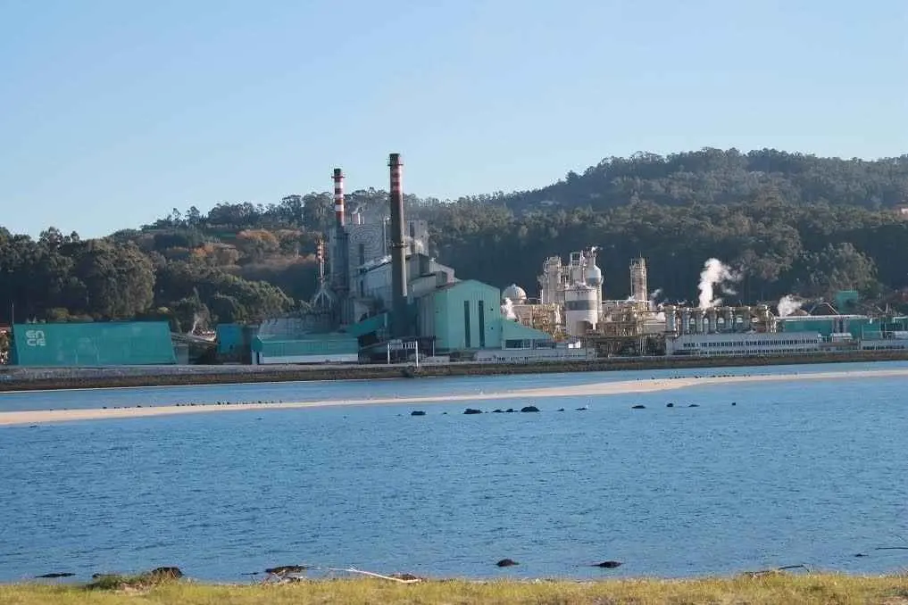 A factor&iacute;a de Ence en Louriz&aacute;n, na r&iacute;a de Pontevedra. (Foto: N&oacute;s Diario)