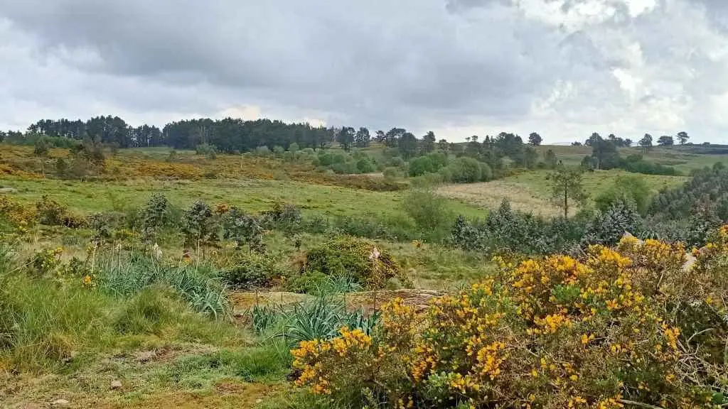 O monte do Gato, na reserva das Mari&ntilde;as-Mandeo, onde se proxectan seis parques e&oacute;licos (Foto: Aire Limpo nas Mari&ntilde;as-Mandeo).