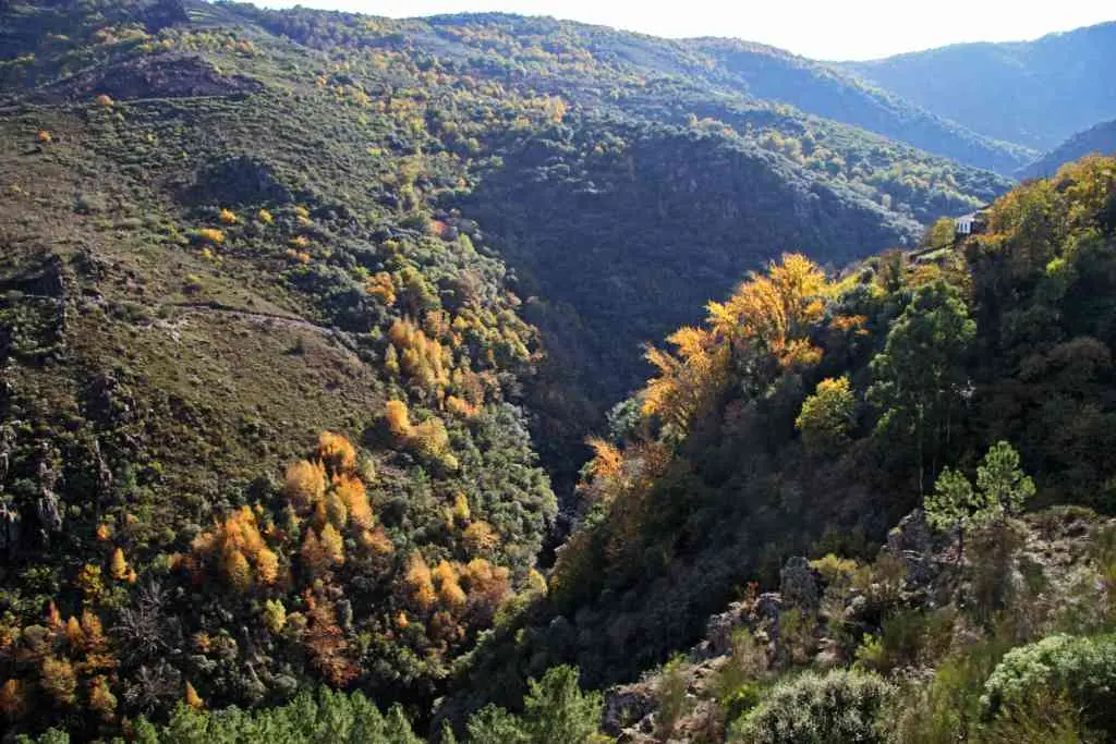 Os cambios na vexetaci&oacute;n fan que a paisaxe adquira distintos matices que var&iacute;an en cada &eacute;poca do ano. O outono pon de relevo as distintas especies de &aacute;rbores.