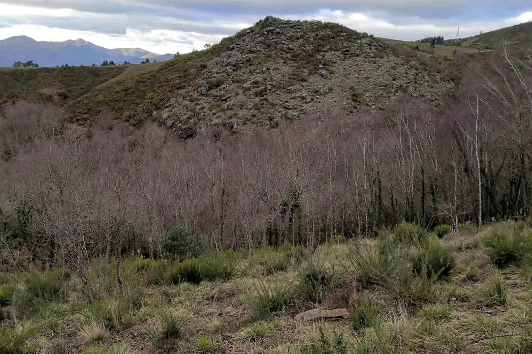 Montes comunais de Santiago de Covelo. (Foto:N&oacute;s Diario).