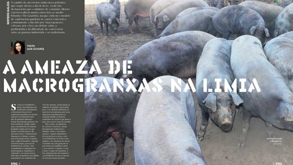 Extracto da reportaxe de Mar Álvarez sobre as macrogranxas, no próximo número de 'Sermos Galiza'.
