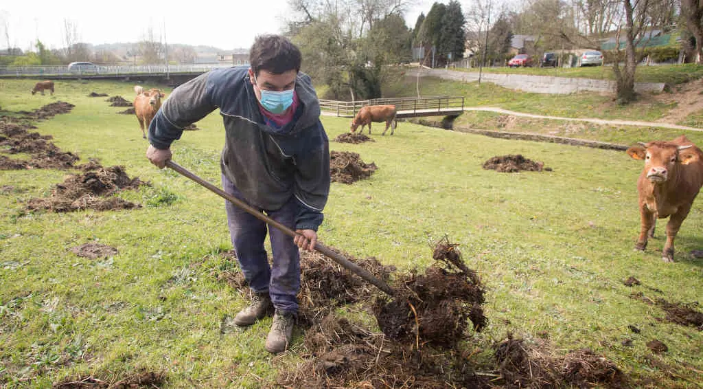 Un gandeiro estende batume no pasto das vacas (Foto: Carlos Castro / Europa Press).