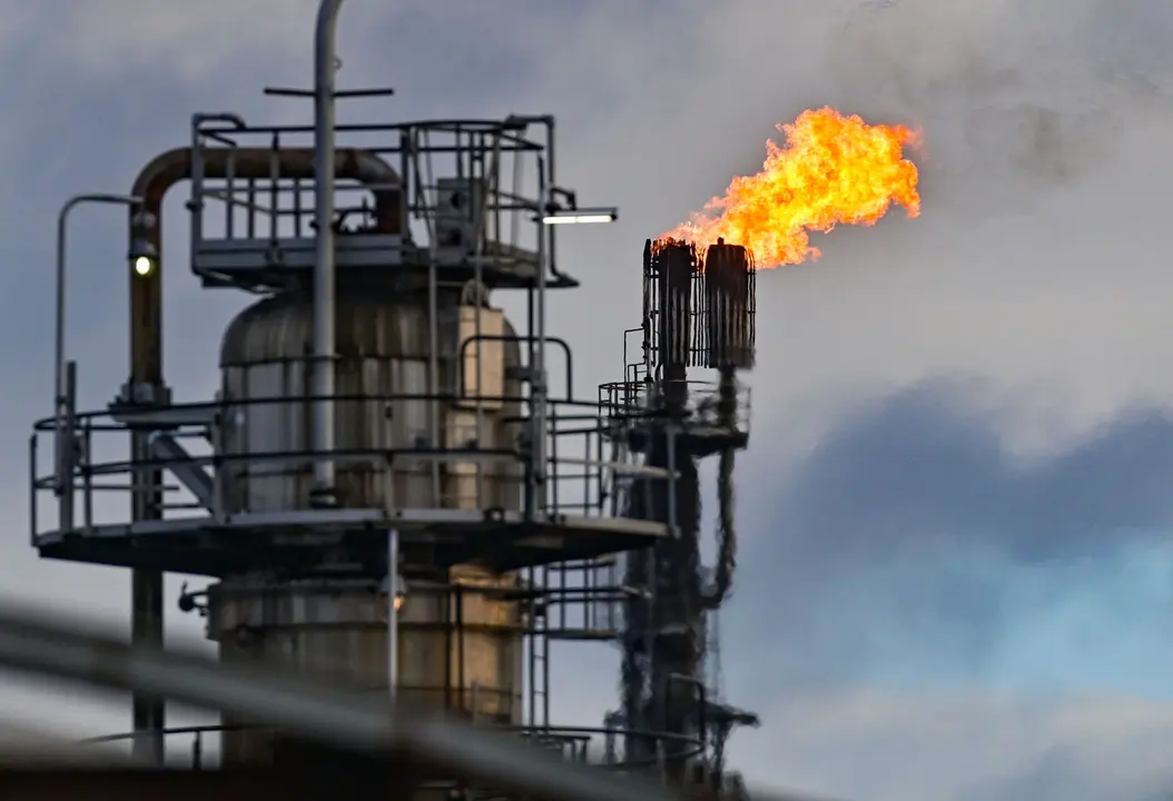 Planta de procesamento en Alema&ntilde;a. (Foto: Europa Press)