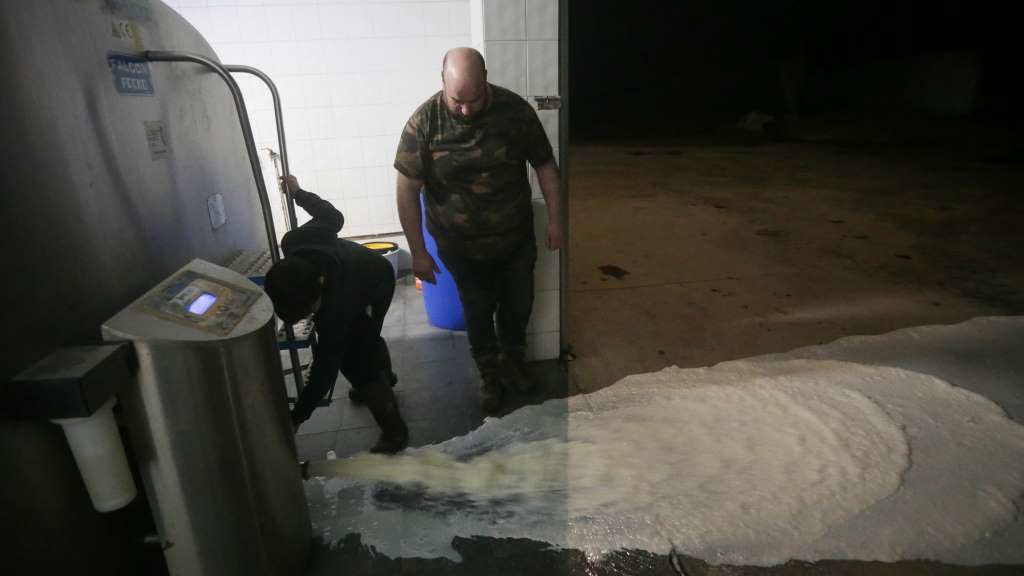 Un gandeiro, obrigado a tirar leite na súa explotación de Outeiro de Rei (Foto: Carlos Castro / Europa Press).