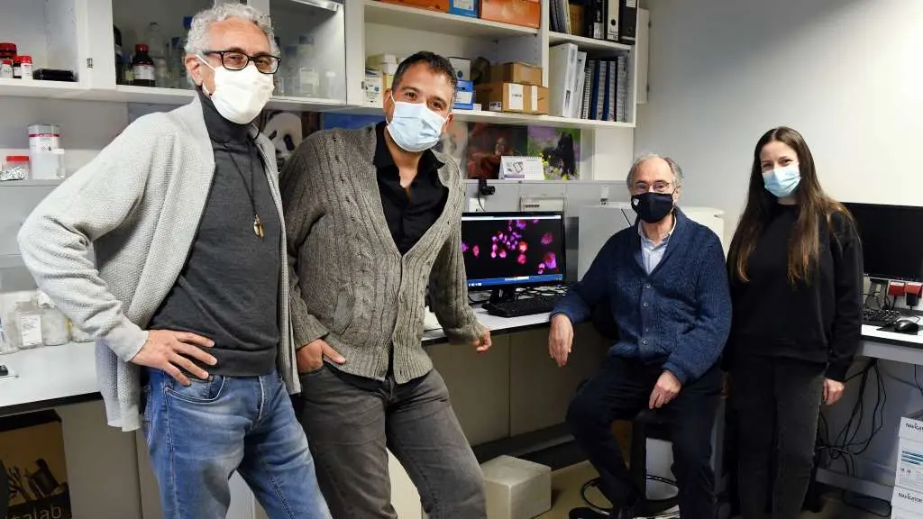 De esquerda a dereita, Arturo L&oacute;pez, David Buceta, Fernando Dom&iacute;nguez e Vanesa Porto. (Foto: Santi Alvite / USC)