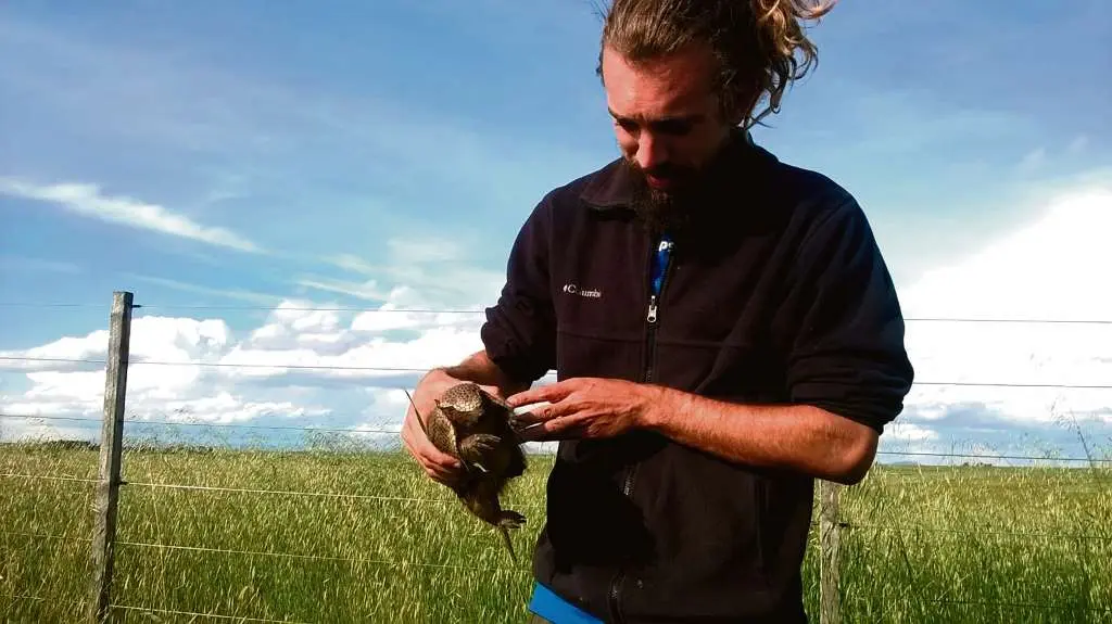 Pedro Romero Vidal sost&eacute;n un piche patag&oacute;nico (Zaedyus pichiy) co&ntilde;ecido tam&eacute;n como armadillo da Patagonia (Arxentina). (Foto: N&oacute;s Diario)