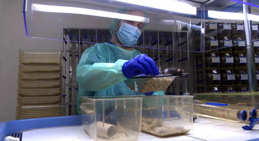 Un t&eacute;cnico do Centro de Biomedicina Experimental da Galiza (Foto: Europa Press).