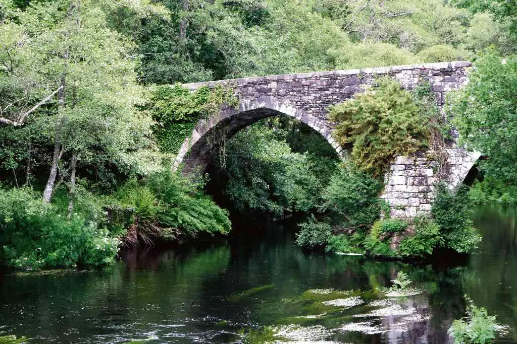 Ponte medieval de San Alberte de Parga.