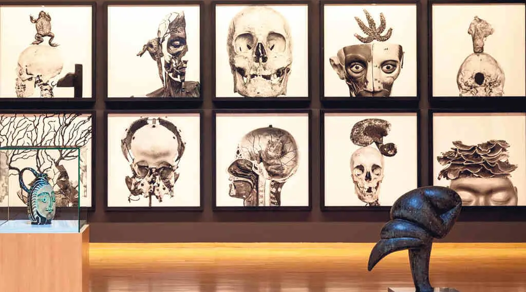 Pezas de Manuel Vilari&ntilde;o en di&aacute;logo con obras da colecci&oacute;n do Museo de Belas Artes. (Foto: Museo de Belas Artes da Coru&ntilde;a).