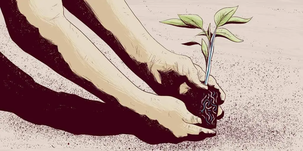 Alcanzar os obxectivos deste Pacto Verde pasa por fomentar un uso eficiente dos recursos. (Ilustraci&oacute;n: &Aacute;lex Rozados)