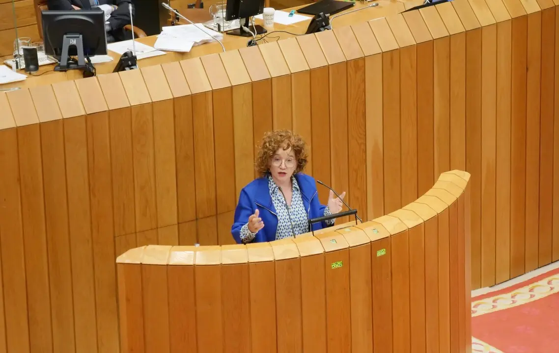 A deputada do BNG no Parlamento Montse Prado. (Foto: N&oacute;s Diario)