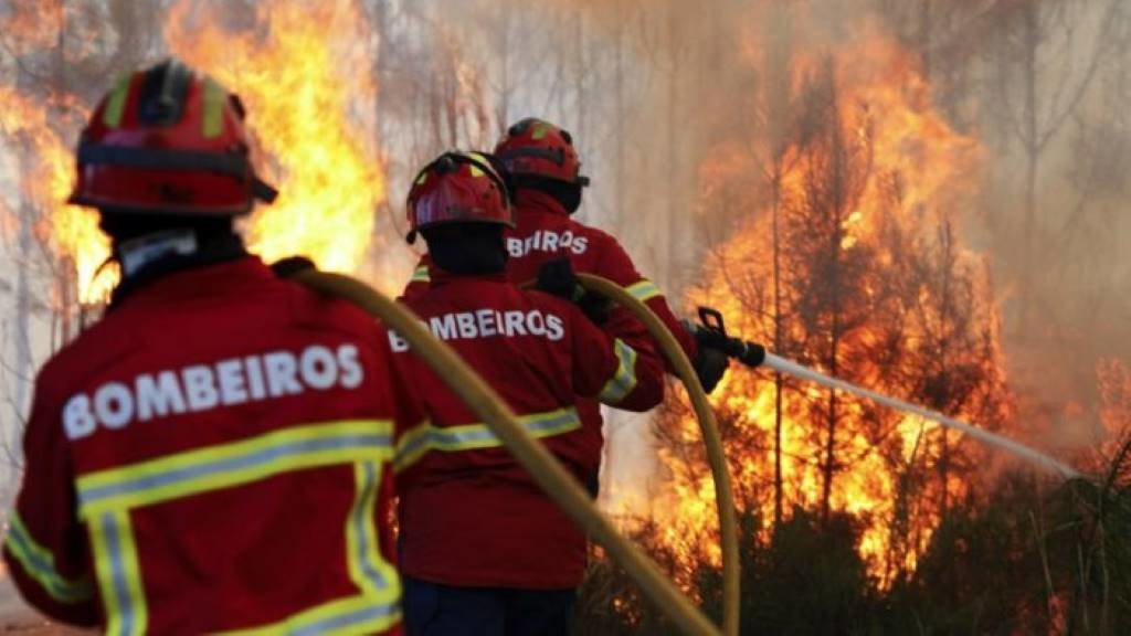Nove vilas foron evacuadas polo lume. (Foto: Governo de Portugal)