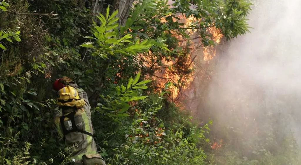 Labores de extinci&oacute;n do lume en Samos. (Foto: Europa Press)