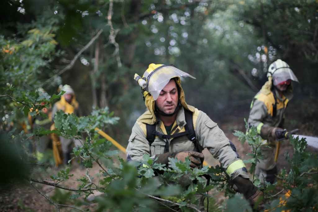 Traballos de extinción do lume en Folgoso do Courel. (Foto: Europa Press)