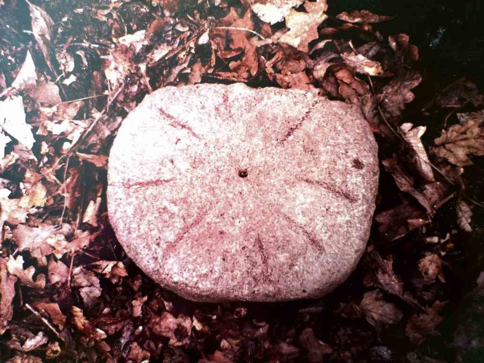 A pedra do "sol celta" achada no Castro de Illón en Licín, que deu orixe ao emblema do Saviñao. Os deseños posteriores son unha interpretación libérrima do esquemático deseño orixinal.