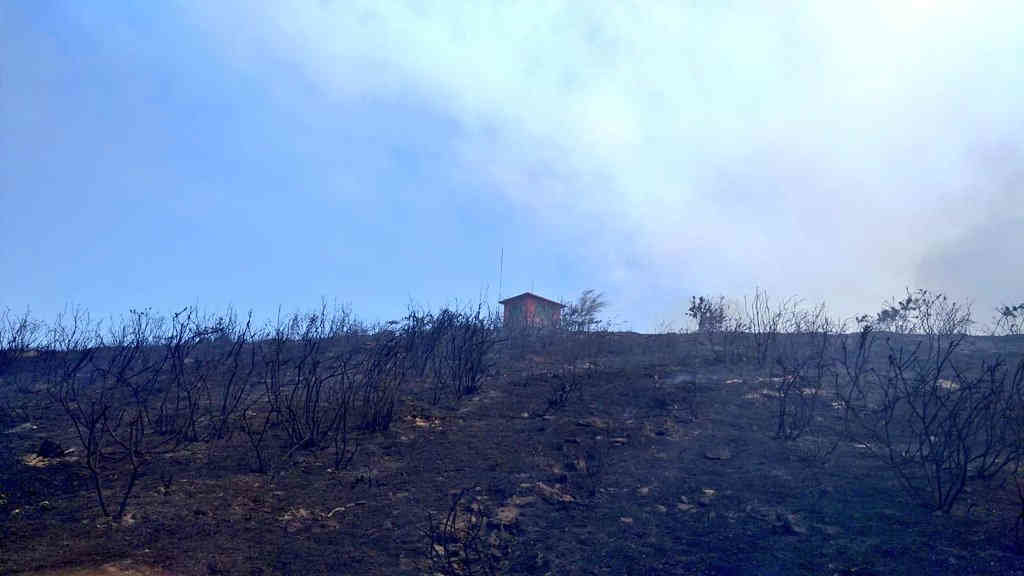 Monte arrasado polo fogo que azouta Arbo, na Paradanta (Foto: BrifLaza)