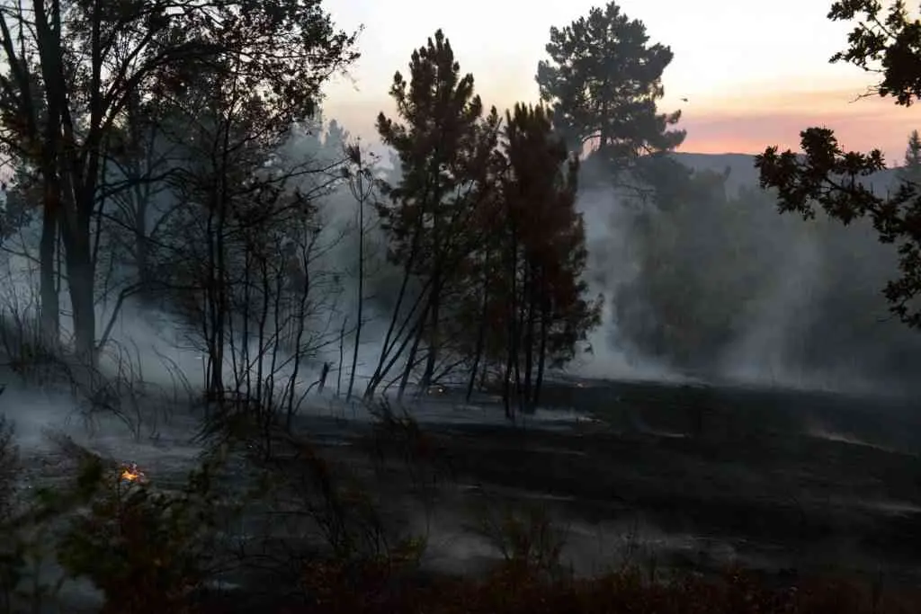 Monte afectado polo incendio de Ver&iacute;n. (Foto: Europa Press)