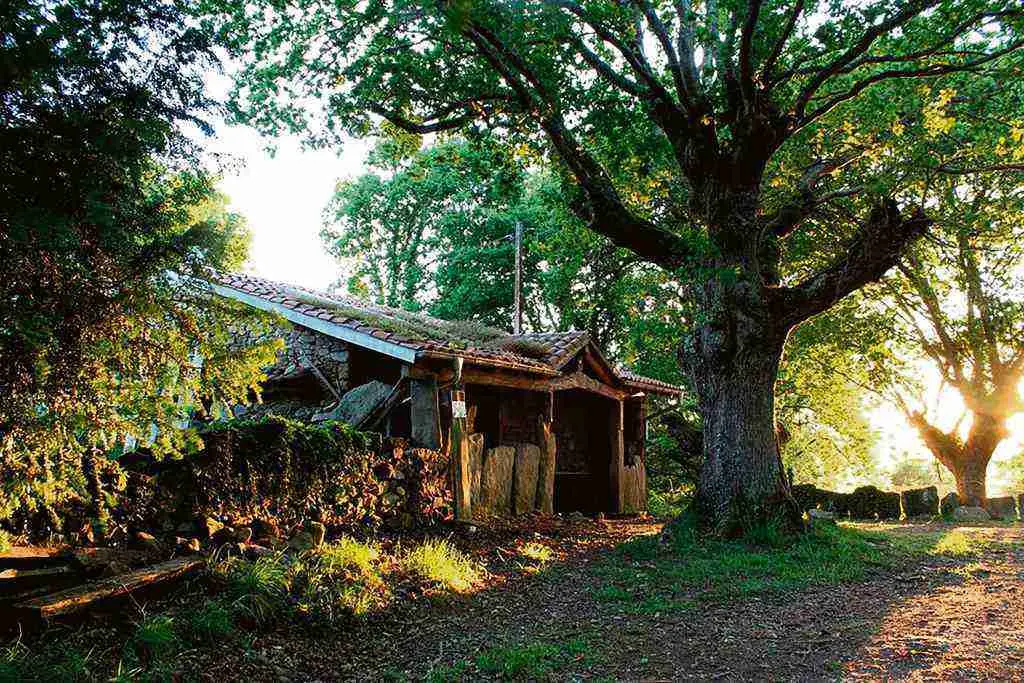Casa na que se localiza a Eira da Xoana rodeada de vexetaci&oacute;n na aldea de Ramil (Agolada).