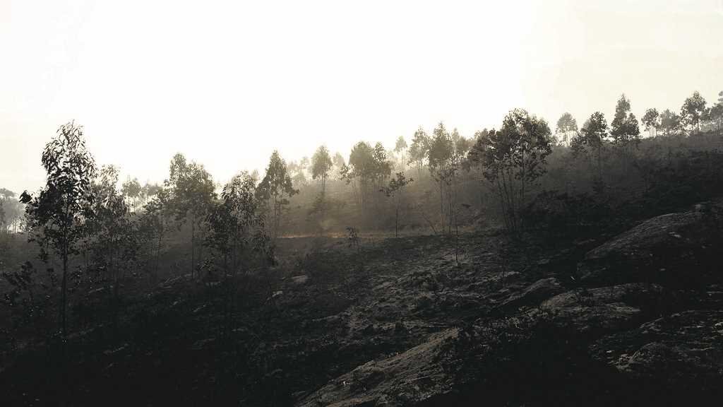 Vista do terreo calcinado polo incendio de Boiro, que arrasou 2.000 hectáreas. (Foto: Arxina)
