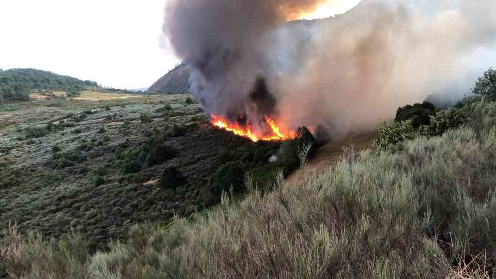 Incendio de Barxa, no concello da Gudiña, parroquia en que tamén houbo incendios en 2022 (Foto: Nós Diario).