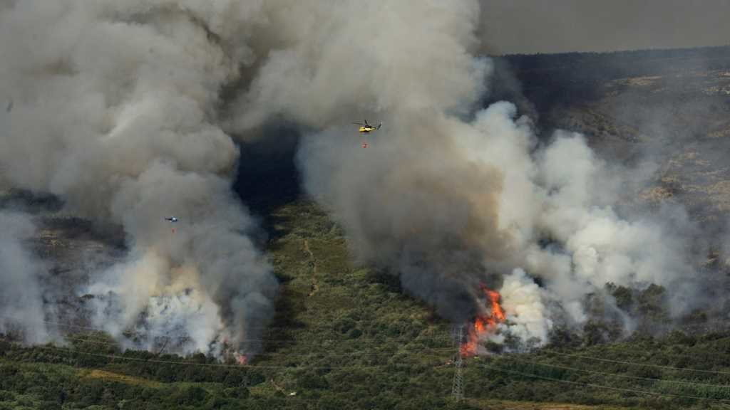 O fogo desta madrugada en Muíños volveu afectar o parque natural da Baixa Limia-Xurés após o iniciado a pasada semana en Lobeira (na imaxe), que queimara 625 hectáreas. (Foto: Rosa Veiga / Europa Press)
