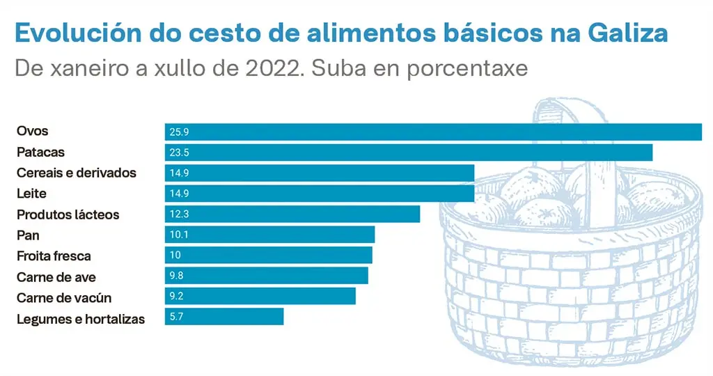 grafico-web
