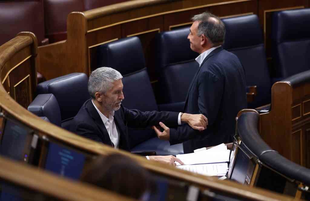Fernando Grande-Marlaska e Enrique Santiago, no Congreso. (Foto: Europa Press)