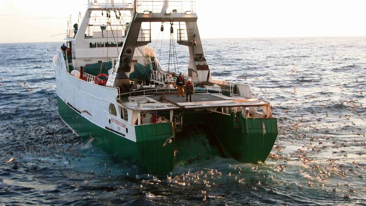 Até 200 barcos de capital galego veríanse afectados de forma directa polo veto, segundo os cálculos da Xunta da Galiza (Foto: Cepesca).