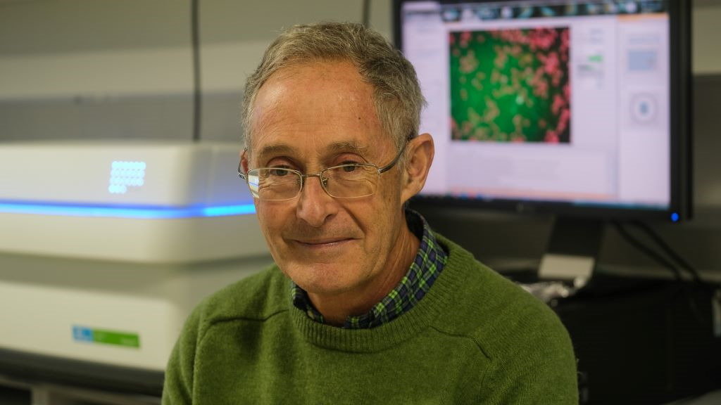 Carracedo é un dos maiores expertos en medicina xenómica. (Foto: Arxina).