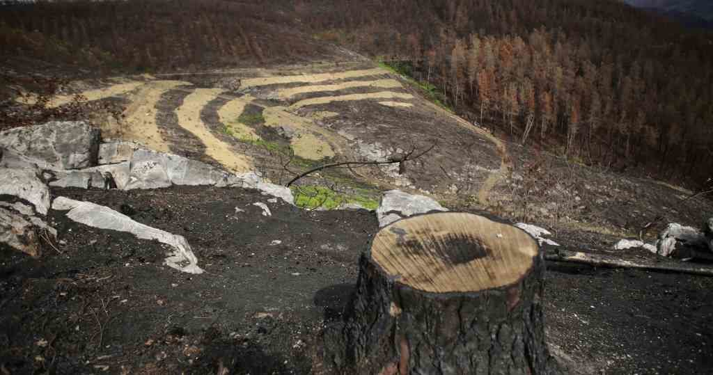 A serra do Courel foi unha das máis afectadas da Galiza, seguida da zona de Valdeorras, Boiro e Laza. (Foto: Europa Press)