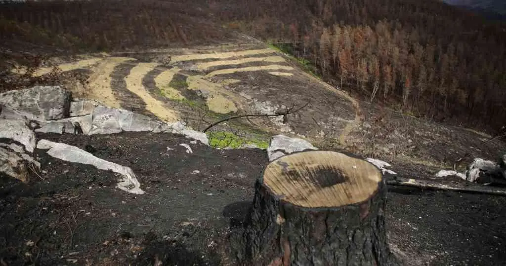 A serra do Courel foi unha das m&aacute;is afectadas da Galiza, seguida da zona de Valdeorras, Boiro e Laza. (Foto: Europa Press)
