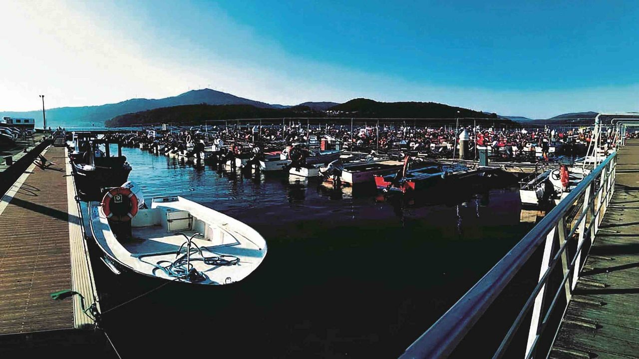 Embarcacións marisqueiras amarradas no porto de Testal, en Noia (Foto: Nós Diario).