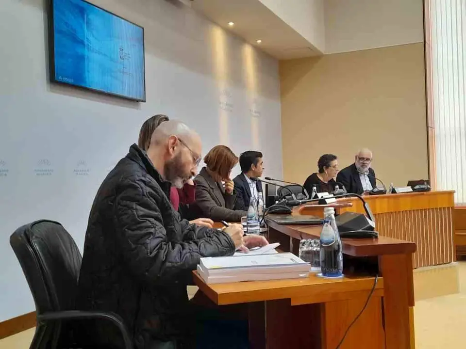 Rosario &Aacute;lvarez, onte, comparecendo na Comisi&oacute;n de Orzamentos do Parlamento.Galego