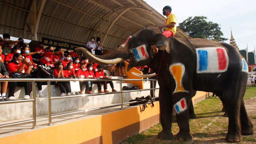 En Tailandia adiantaron o partido... con elefantes. Gañou Francia. (Foto: Europa Press).