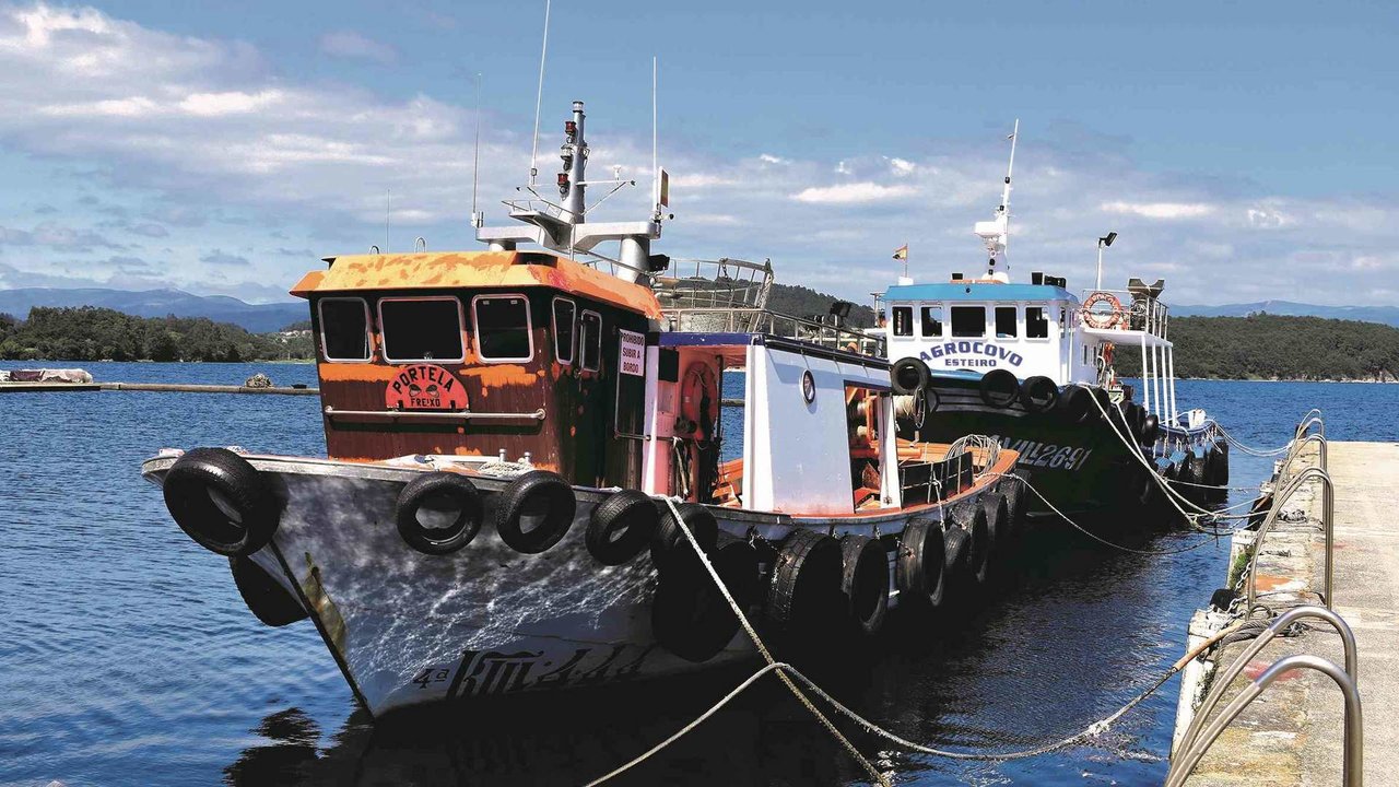 A frota galega beneficiarase do aumento da cota permitida para as capturas de pescada sur (Foto: Nós Diario).