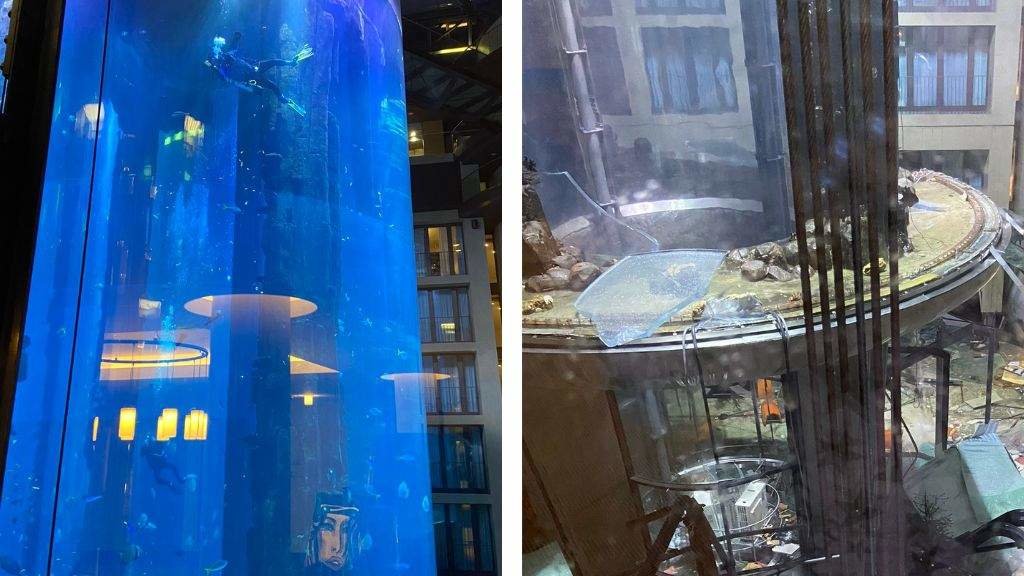 O antes e o despois do acuario. (Fotos: @AlertaNews24 / Twitter)