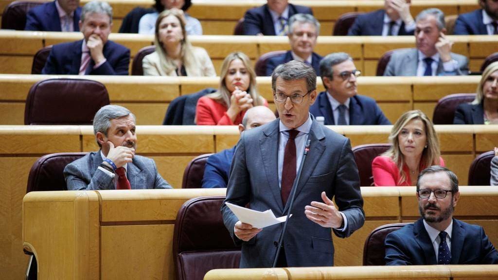 O líder do Partido Popular, Alberto Núñez Feixoo, interpelando o Goberno español no Senado. (Foto: Alejandro Martínez Vélez / Europa Press)