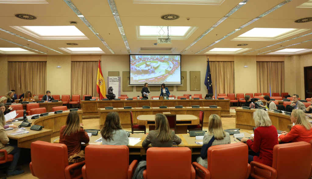Comisión no Congreso en Madrid (Foto: Jesús Hellín / Europa Press).