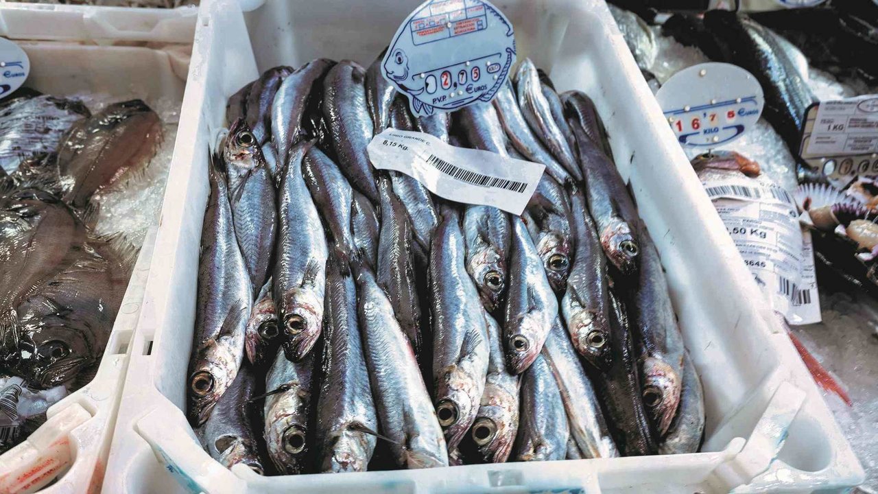 Lirios nunha peixaría do mercado de abastos de Compostela (Fotos: Nós Diario).