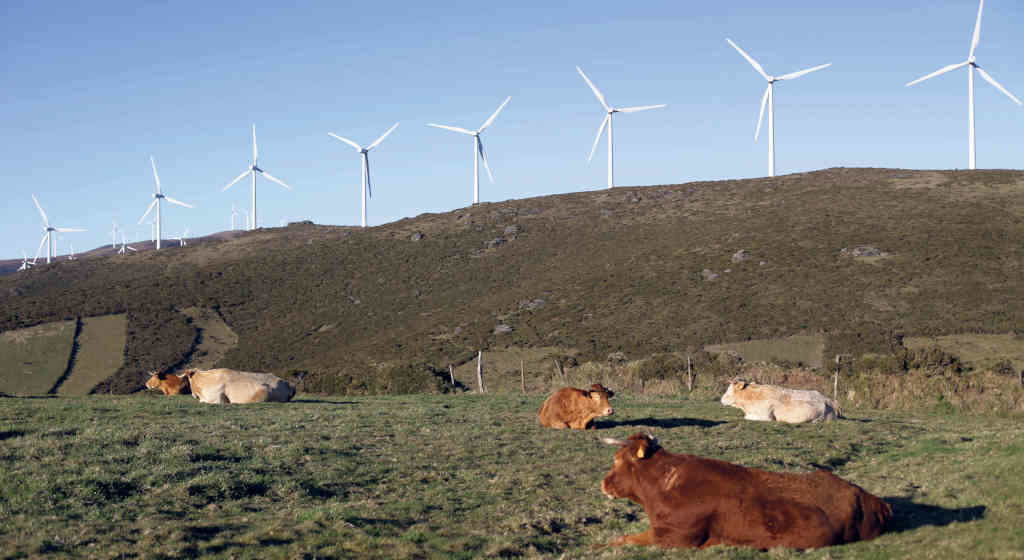 Parque eólico nun espazo da Rede Natura na Serra do Xistral (Foto: Europa Press).